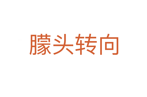 朦头转向