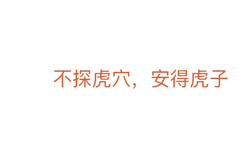 不探虎穴,安得虎子