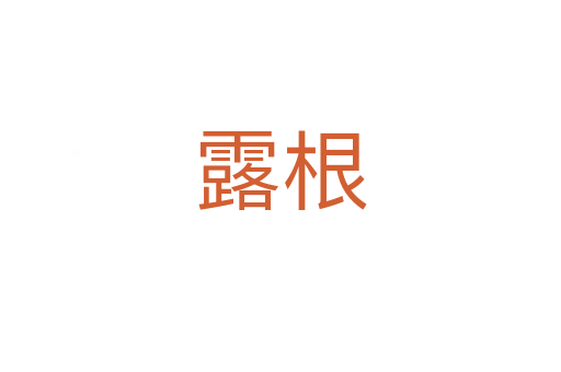 露根