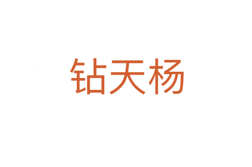 钻天杨