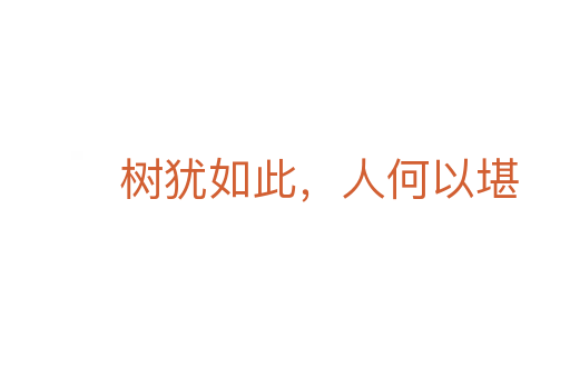 树犹如此,人何以堪